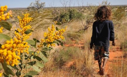 Indigenous child walking through a red-dirt and scrub landscape.