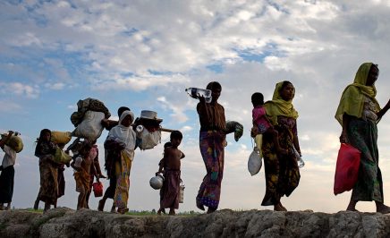 Rohingya refugees walk through a paddy field in Bangladesh