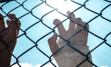 A child's hands on a fence